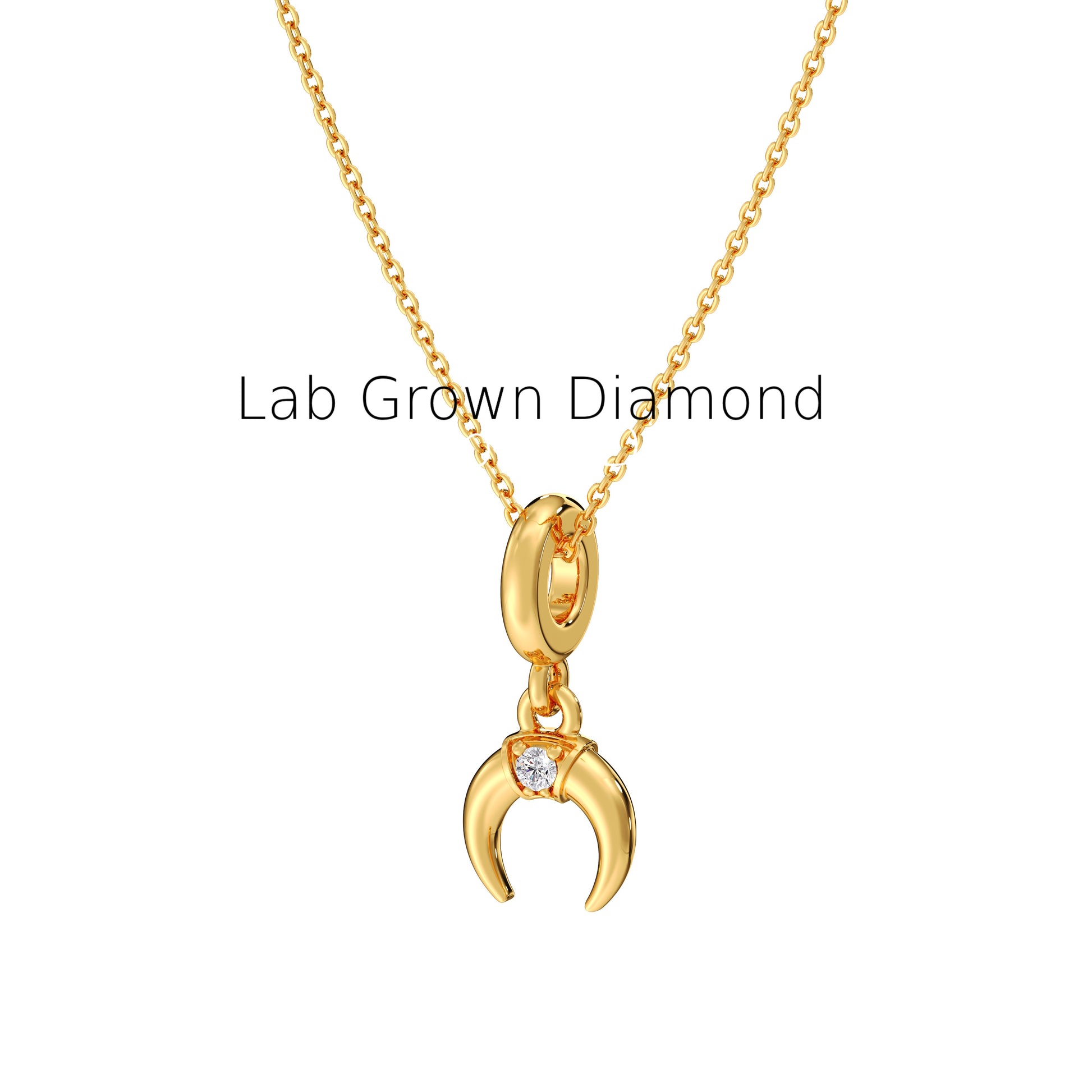 Solitaire Lab Diamond Pendant – Horse Shoe Charm in Gold
Symbolic Horse Shoe Necklace – Lab Diamond Birthday Gift